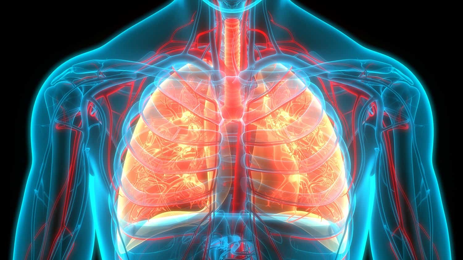 Pulmonary Fibrosis A New Treatment On The Horizon Physician S Weekly